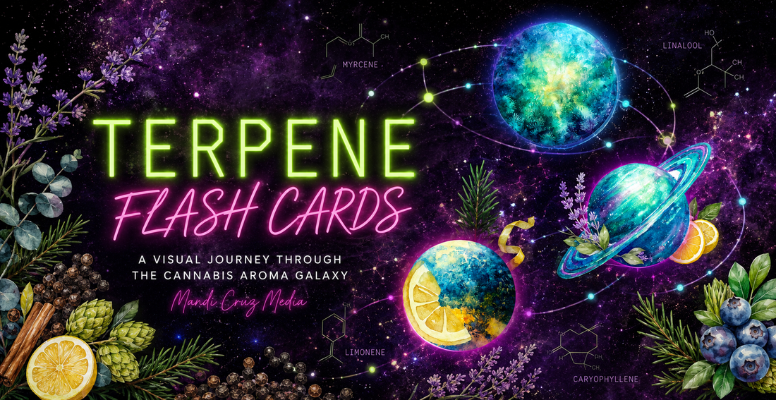 Cosmic Terpene Flash Cards cover featuring colorful planets, aromatic botanicals and terpene molecules by Mandi Cruz Media.