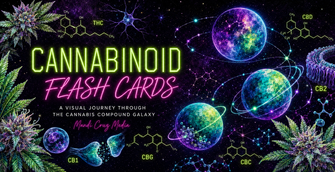 Mandi Cruz Media Cannabinoid Flash Cards blog cover featuring cosmic planets, cannabis flowers, cannabinoid molecules, CB1 and CB2 receptors, and neon pink and chartreuse text.