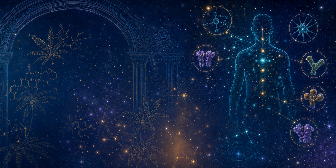 Glowing human figure illustrating the endocannabinoid system, surrounded by cannabinoid receptors, molecular structures, cannabis plants, and cosmic pathways.