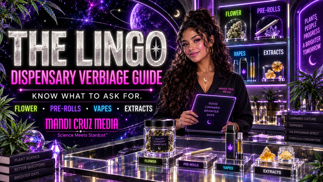 Mandi Cruz Media guide at a futuristic dispensary counter with flower, pre-roll, vape and extract displays for The Lingo guide.