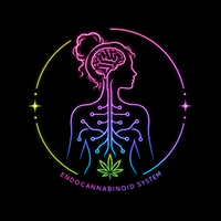 Your Endocannabinoid System: What is it?