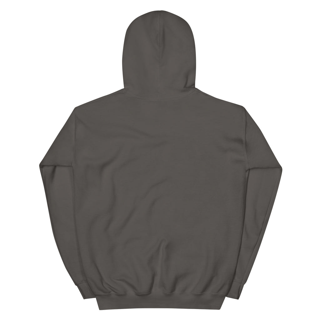 Back product view of the charcoal Butterfly Lungs unisex hoodie showing the plain back, hood, sleeves and ribbed