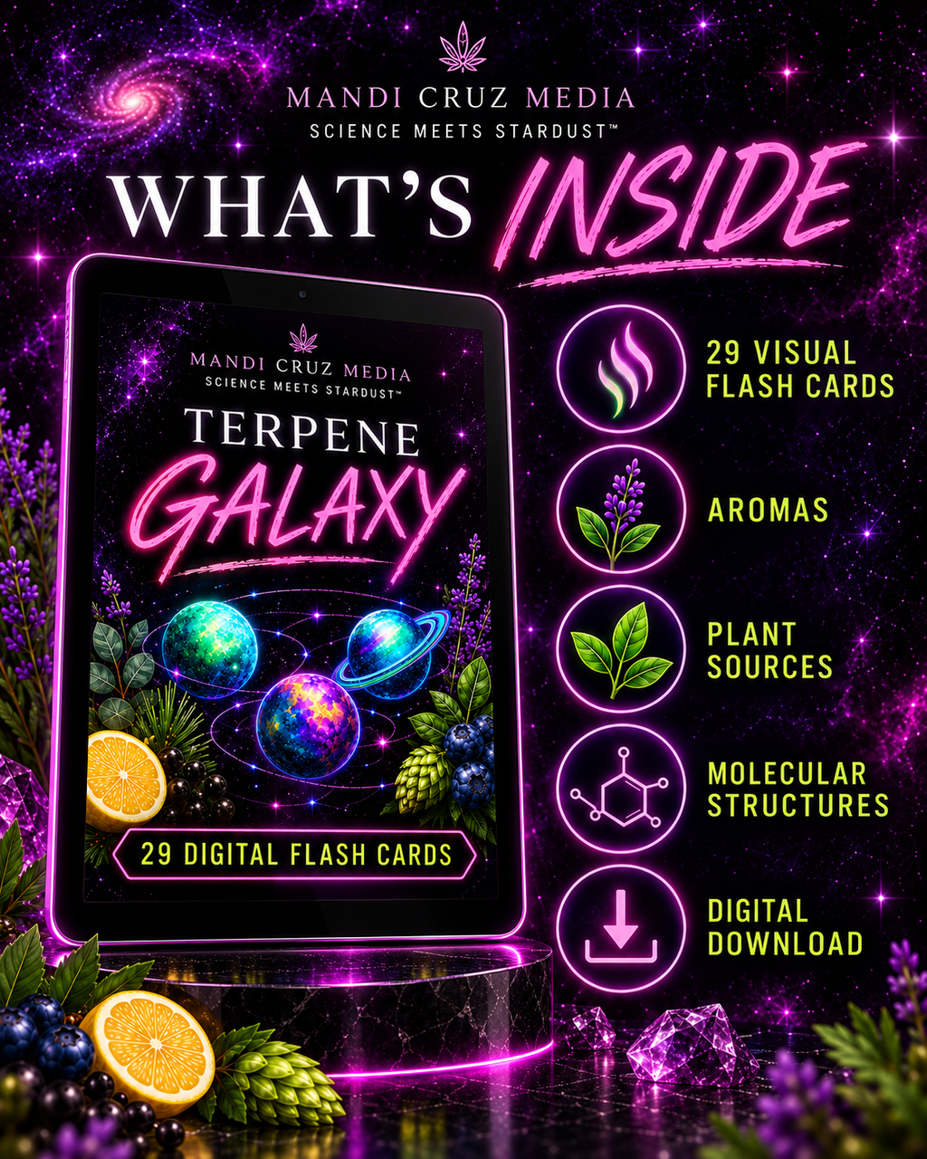 What’s Inside graphic showing 29 visual terpene flash cards covering aromas, plant sources and molecular structures as a digital download.