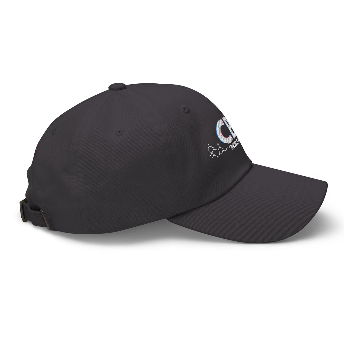 Right-facing side view of the dark grey CBD Heals My Hurt dad hat with the embroidered design partly visible.