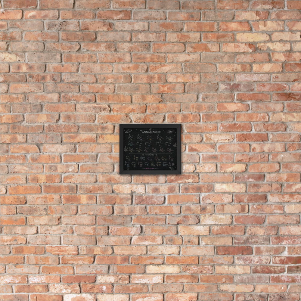 Black-framed Mandi Cruz Media cannabinoids and terpenes educational chart mounted on a rustic exposed-brick wall.