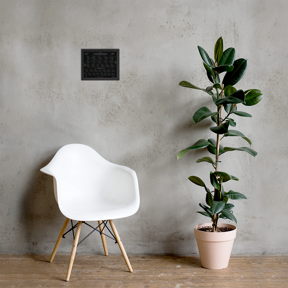 Framed cannabinoid and terpene molecular chart displayed on a concrete wall beside a modern white chair and potted plant.
