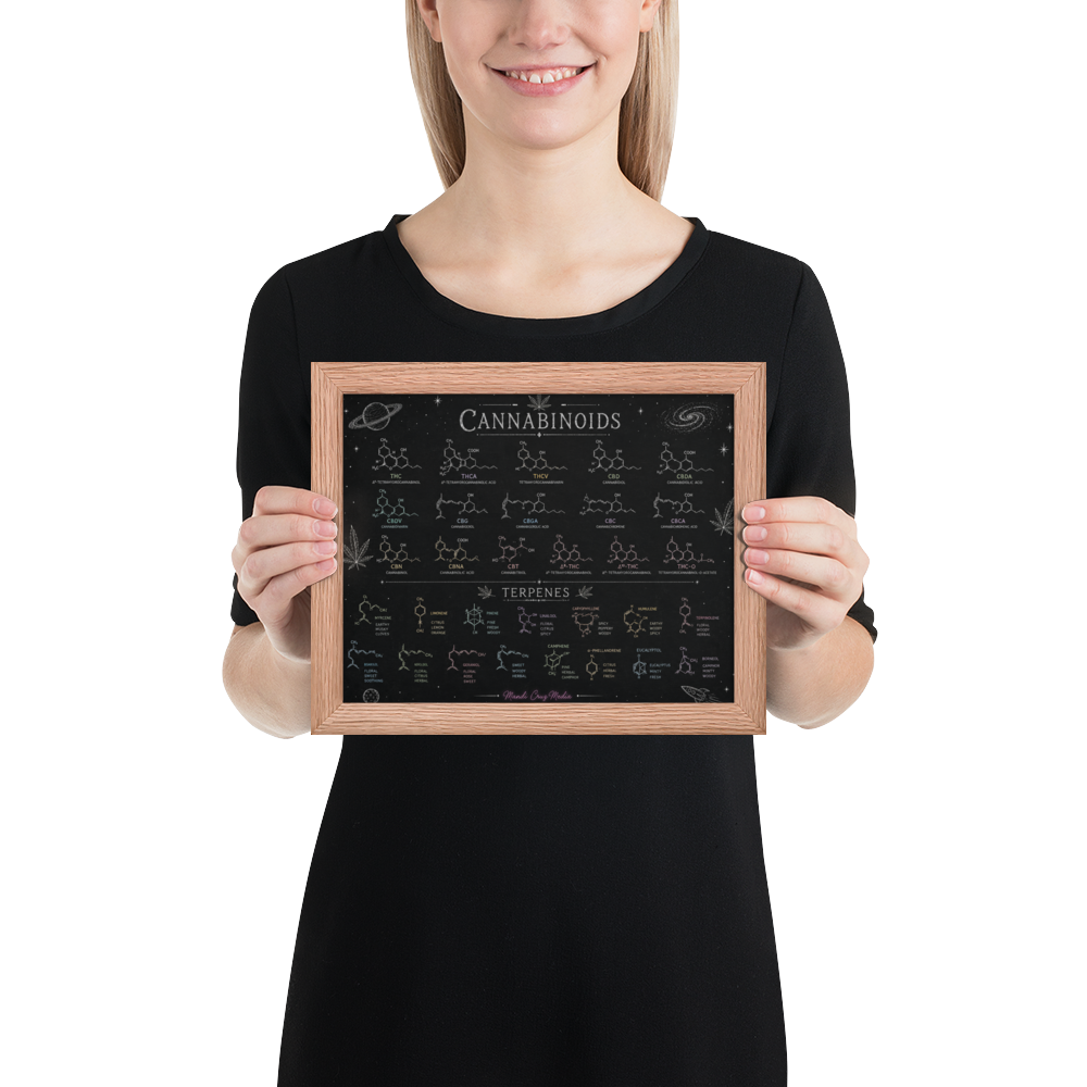 Woman holding the Mandi Cruz Media cannabinoids and terpenes educational chart in a square natural-wood frame.
