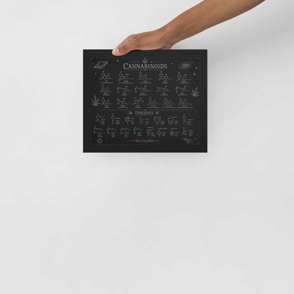 Black-framed Mandi Cruz Media educational chart featuring color-coded cannabinoid and terpene molecular structures on a cosmic background.
