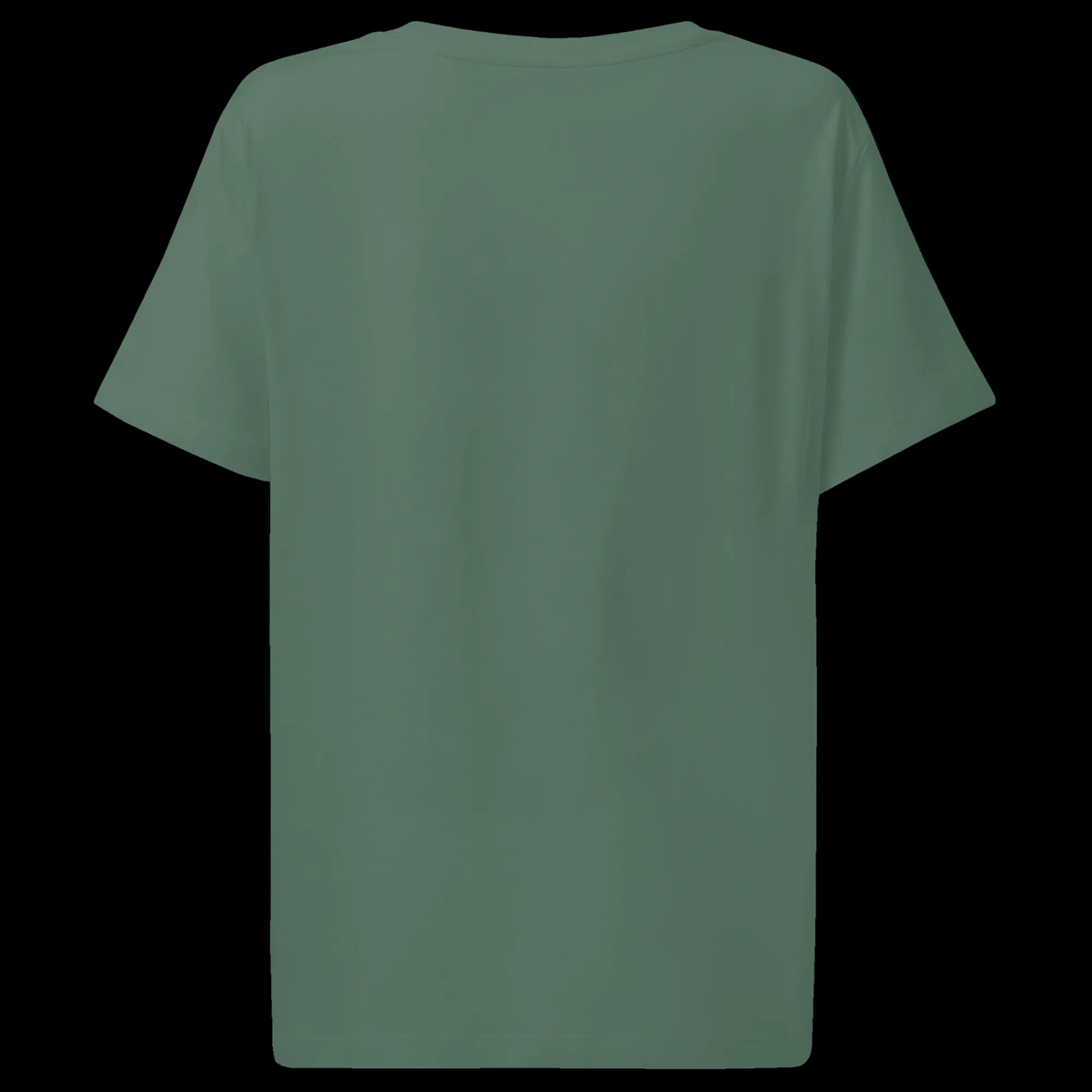 Back view of the Green Bay Outer Space women’s organic tee showing its plain rear, short sleeves, and crew neck.