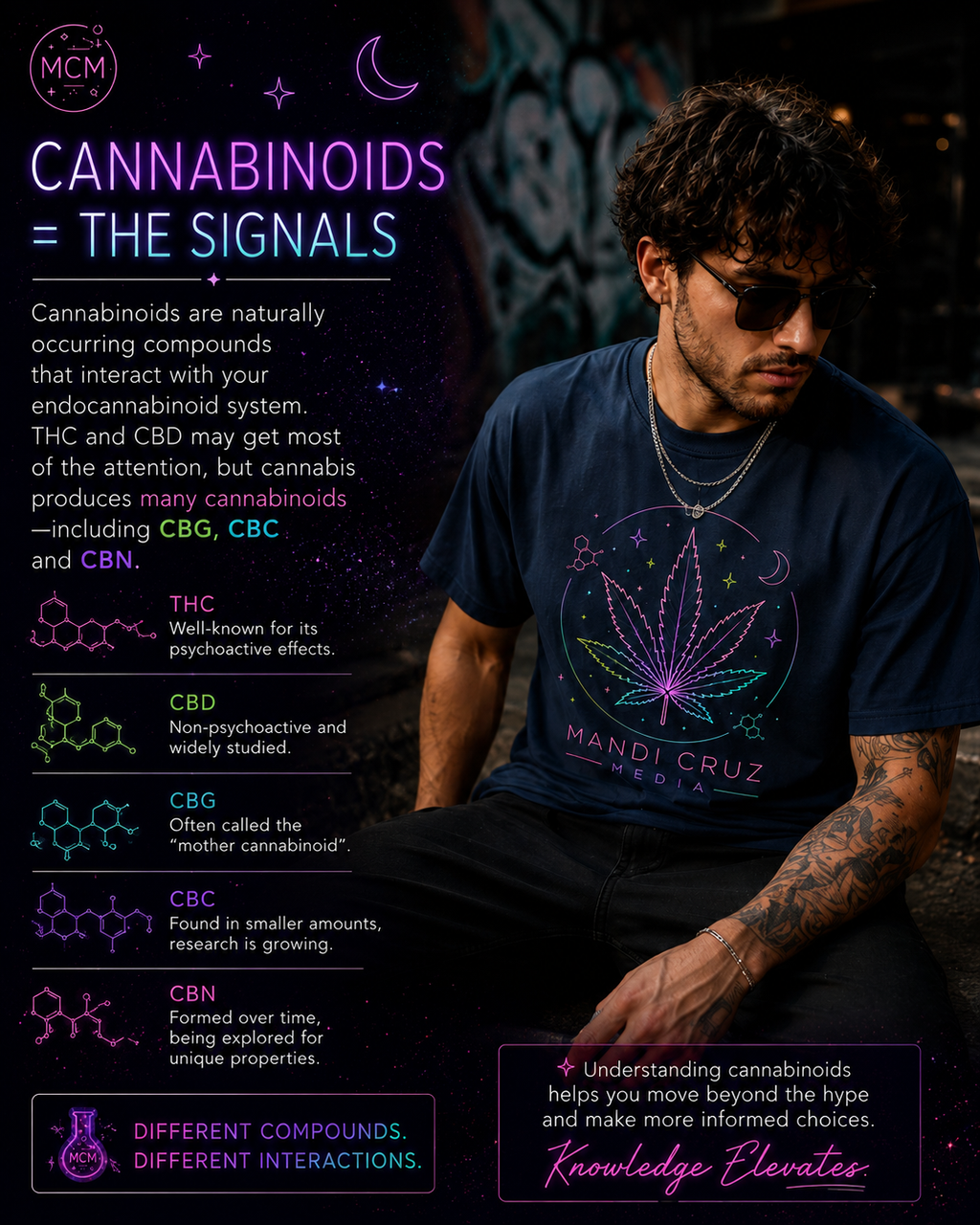 Slide 5 — Cannabinoids: The Signals
Man wearing a navy Mandi Cruz Media cannabis science T-shirt in an urban lifestyle setting. Educational infographic introduces cannabinoids as naturally occurring cannabis compounds that interact with the endocannabinoid system and highlights THC, CBD, CBG, CBC and CBN.