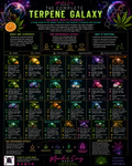 The Complete Terpene Galaxy™ Cheat Sheet