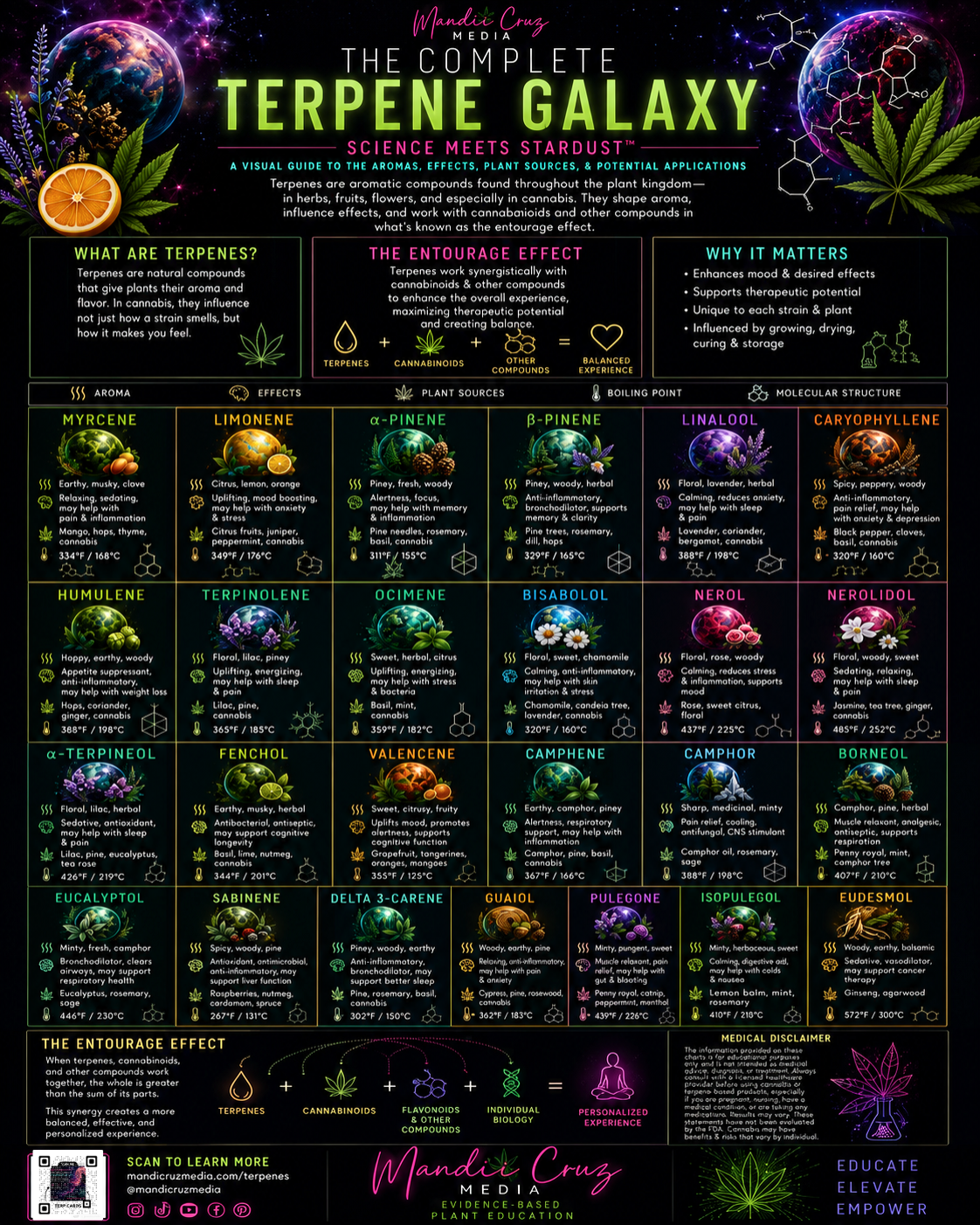The Complete Terpene Galaxy™ Cheat Sheet