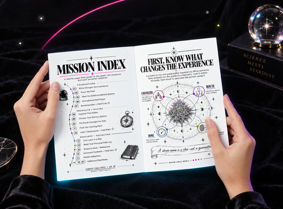 Open Cannabis 101 guide showing the Mission Index and factors that shape the experience.