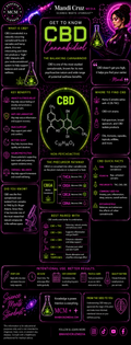 CBD Explained: A Visual Guide to Cannabidiol | Digital Infographic