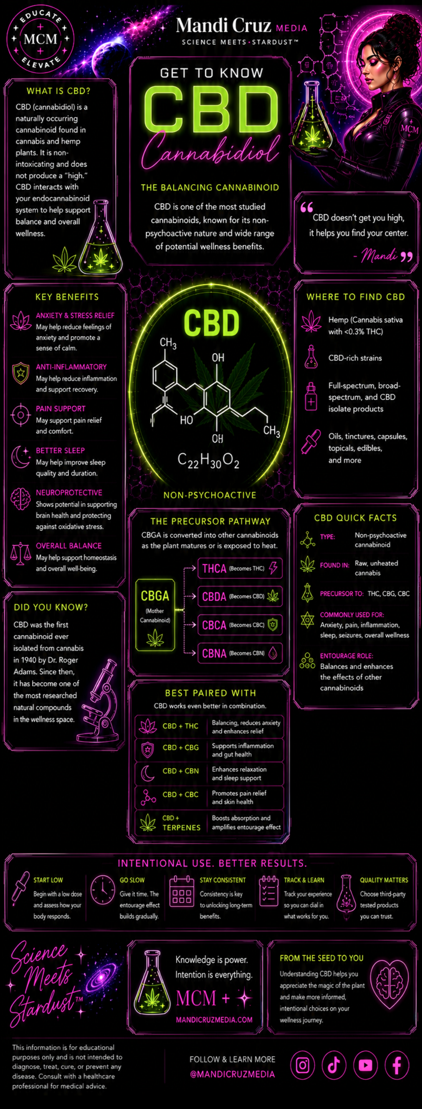CBD Explained: A Visual Guide to Cannabidiol | Digital Infographic
