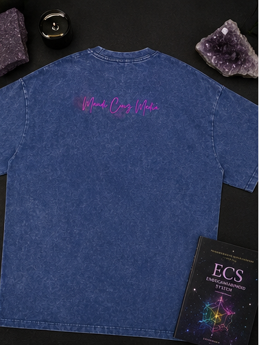 Back flat-lay view of the Dark Blue Science Meets Stardust™ oversized acid wash tee featuring the pink Mandi Cruz Media script logo, styled with amethyst crystals and an ECS reference book.