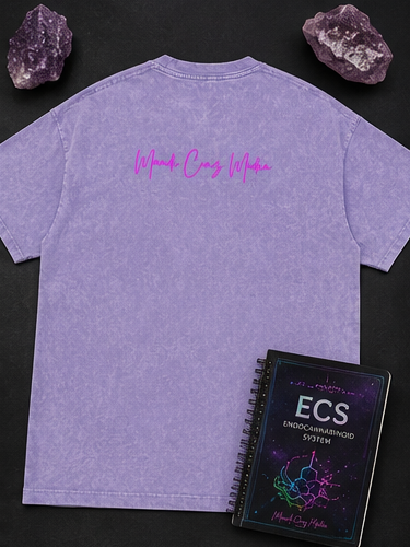 Back flat-lay view of the Light Purple Science Meets Stardust™ oversized acid wash tee featuring the pink Mandi Cruz Media script logo, styled with amethyst crystals and an ECS journal.